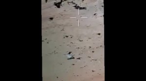 ‼️🇮🇷🇺🇸 Иран отрицает эвакуацию США сбитого летчика

▪️Об этом пишет CNN, ссылаясь на иранские го