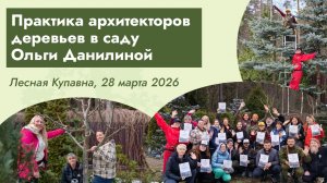 Практика архитекторов деревьев в саду Ольги Данилиной