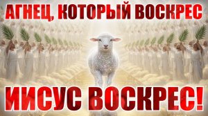 АГНЕЦ, КОТОРЫЙ ВОСКРЕС! ПАСХА. ИИСУС ВОСКРЕС!