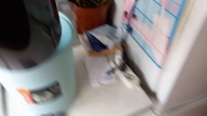 4 и 5 апреля 2026. С Вербным Воскресеньем!