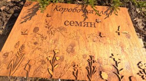 Коробочка для семян своими руками