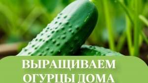 УДОБРЕНИЯ РАБОТАЕТ.