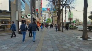 Токио Япония 2026 Пеший тур по самым популярным районам Икэбукуро Сибуя и Акихабара