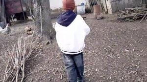 Кормлю чикенов, сервилатик на меня кинулся