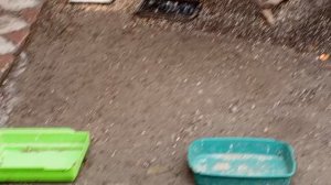 готовим завтрак