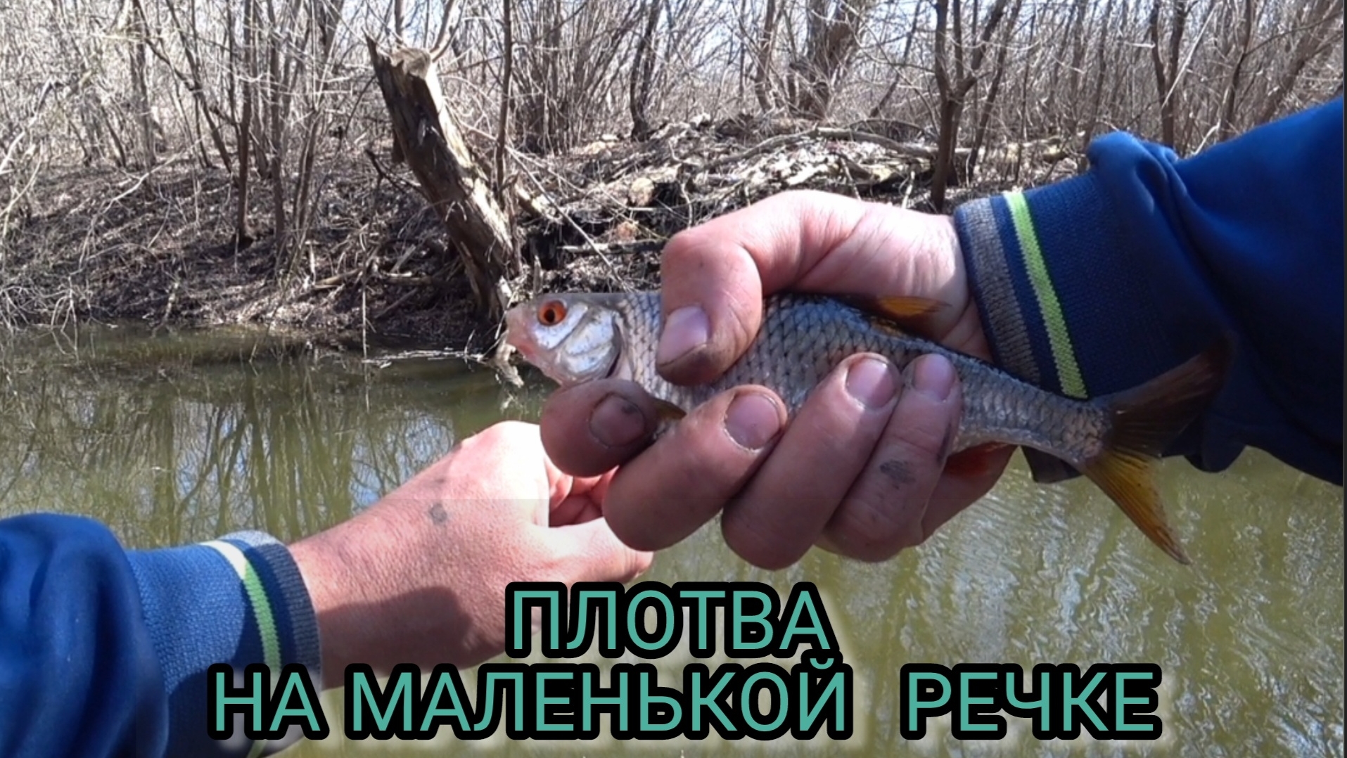 Ловим плотву на маленькой речке