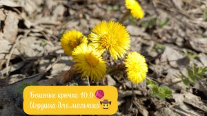 Вязальная активность "Бешеные крючки" 10.0. Игрушка для мальчика 🧶🤠