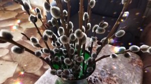 С Вербным воскресеньем