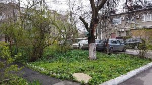 Ростов-На-Дону.Западный В Апреле(Часть 5)