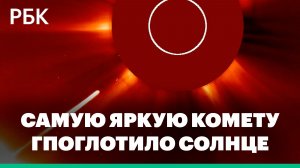 Солнце поглотило самую яркую комету года