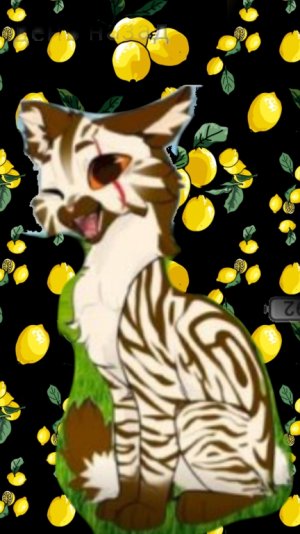 пажочку за 2 место в конкурсе