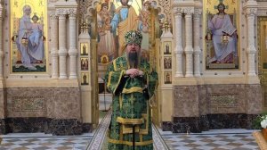 Слово митрополита Павла в праздник Входа Господня в Иерусалим