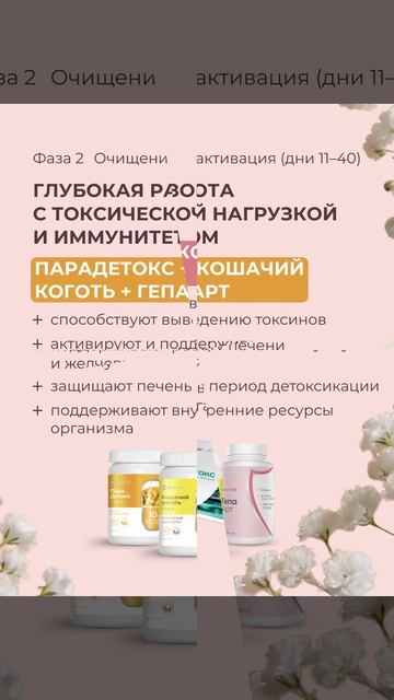 Весенняя перезагрузка протокол РЕ СТАРТ.