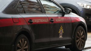 Дело возбуждено против вытолкнувшего проводницу из поезда пассажира