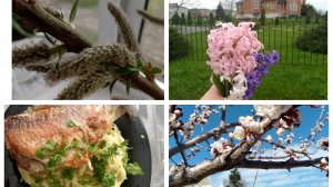 ЦВЕТЕТ АБРИКОС / ЖАРЕНЫЙ КАРАСЬ НА ОБЕД / ПОГОДА МЕНЯЕТСЯ / ЦЕРКОВЬ / ШИКАРНЫЕ ГИАЦИНТЫ / ВЕРБА