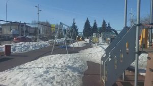 Каникулы пролетели незаметно🌞🏡