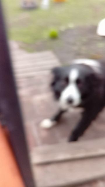 2 часть ( Магазина)