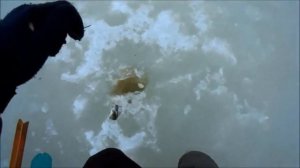 РЫБАЛКА на МОРМЫШКУ на ЛУЧШУЮ насадку ЗИМОЙ