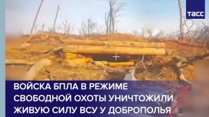 Войска БПЛА в режиме свободной охоты уничтожили живую силу ВСУ у Доброполья