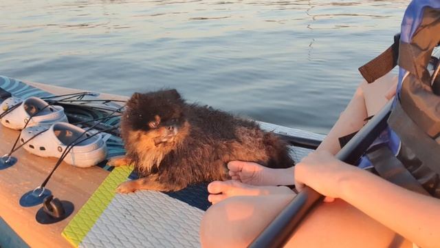 Назар на сабе