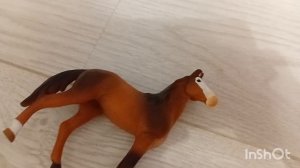 Трейлер к фильму "О чем мечтает Цезарь " 🥰🥰🥰