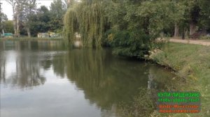 ЧИСТЫЕ ПРУДЫ,ЗАСТЕНЧИВЫЕ ИВЫ...__ИГОРЬ ТАЛЬКОВ__