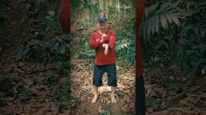 «Бой внутри себя: цигун, координация и наработка ударов»