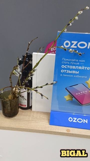 С вербным воскресеньем