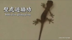 Сверхъестественные способности в кунг-фу — Искусство лёгкости (Цин гун)