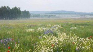 Цветы. Русская патриотическая песня. #музыка