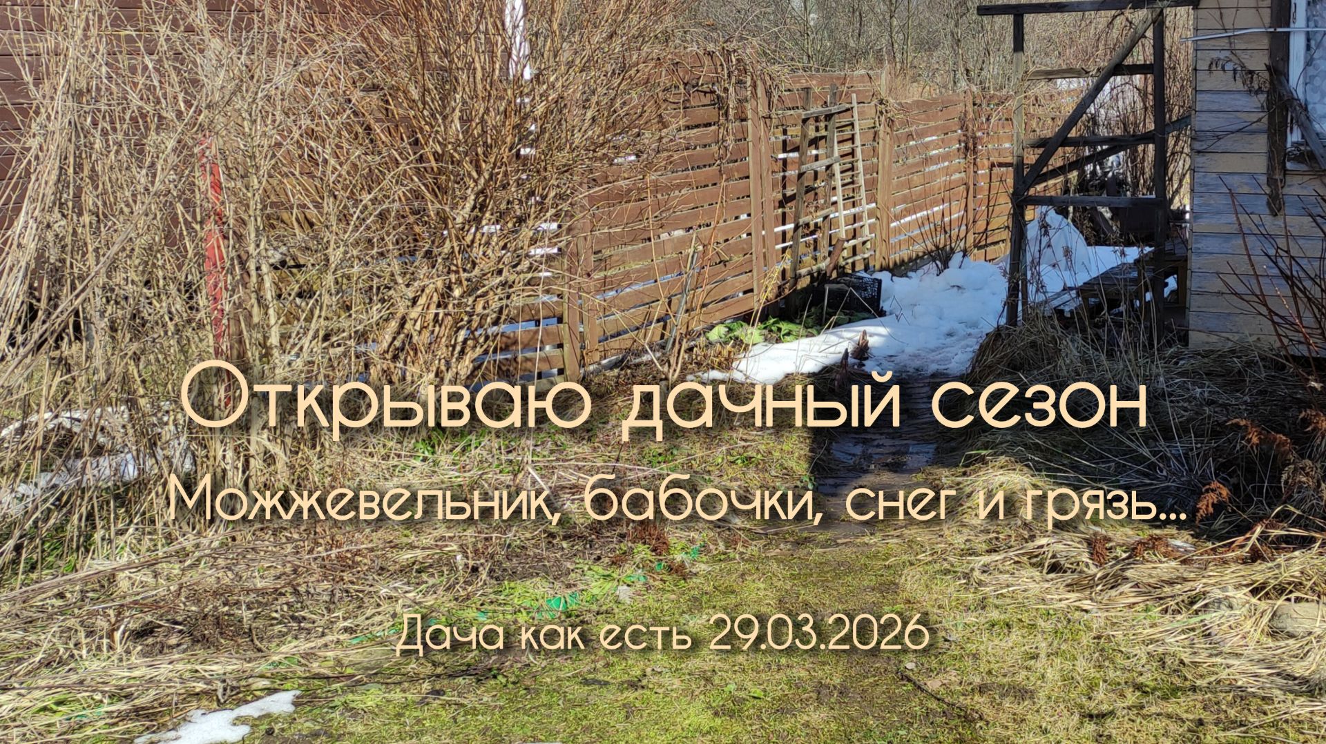 Открыла дачный сезон! Можжевельник, бабочки, снег и грязь / Дача как есть 29.03.2026
