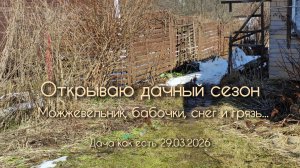 Открыла дачный сезон! Можжевельник, бабочки, снег и грязь / Дача как есть 29.03.2026