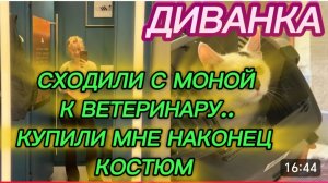 САМВЕЛ АДАМЯН, МИСС ВОНГ, СХОДИЛИ С МОНОЙ В ВЕТКЛИНИКУ, КУПИЛИ МНЕ КОСТЮМ НАКОНЕЦ..