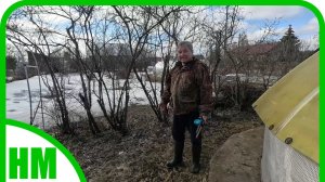 5 апреля. Посеяла огурцы и кабачки. Продолжаем обрезать сад.