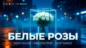 БЕЛЫЕ РОЗЫ 🔥— авторская песня | Antey Sound 🔥