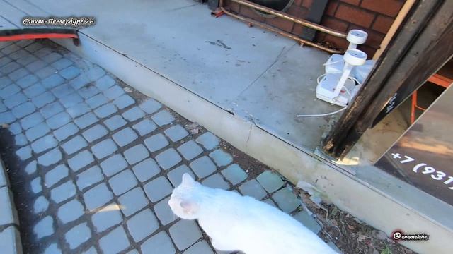 Неожиданно посетили арт-пространство 