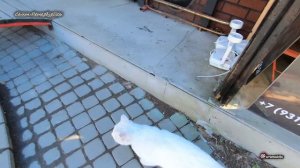 Неожиданно посетили арт-пространство "Дом с самолётом"