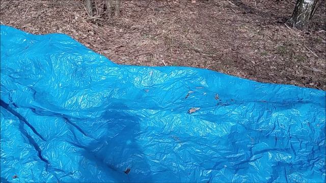 04.04.2026. С Мишей закрываем на косе сезон закаливания 2025 - 2026. Даст Бог продолжение следует!