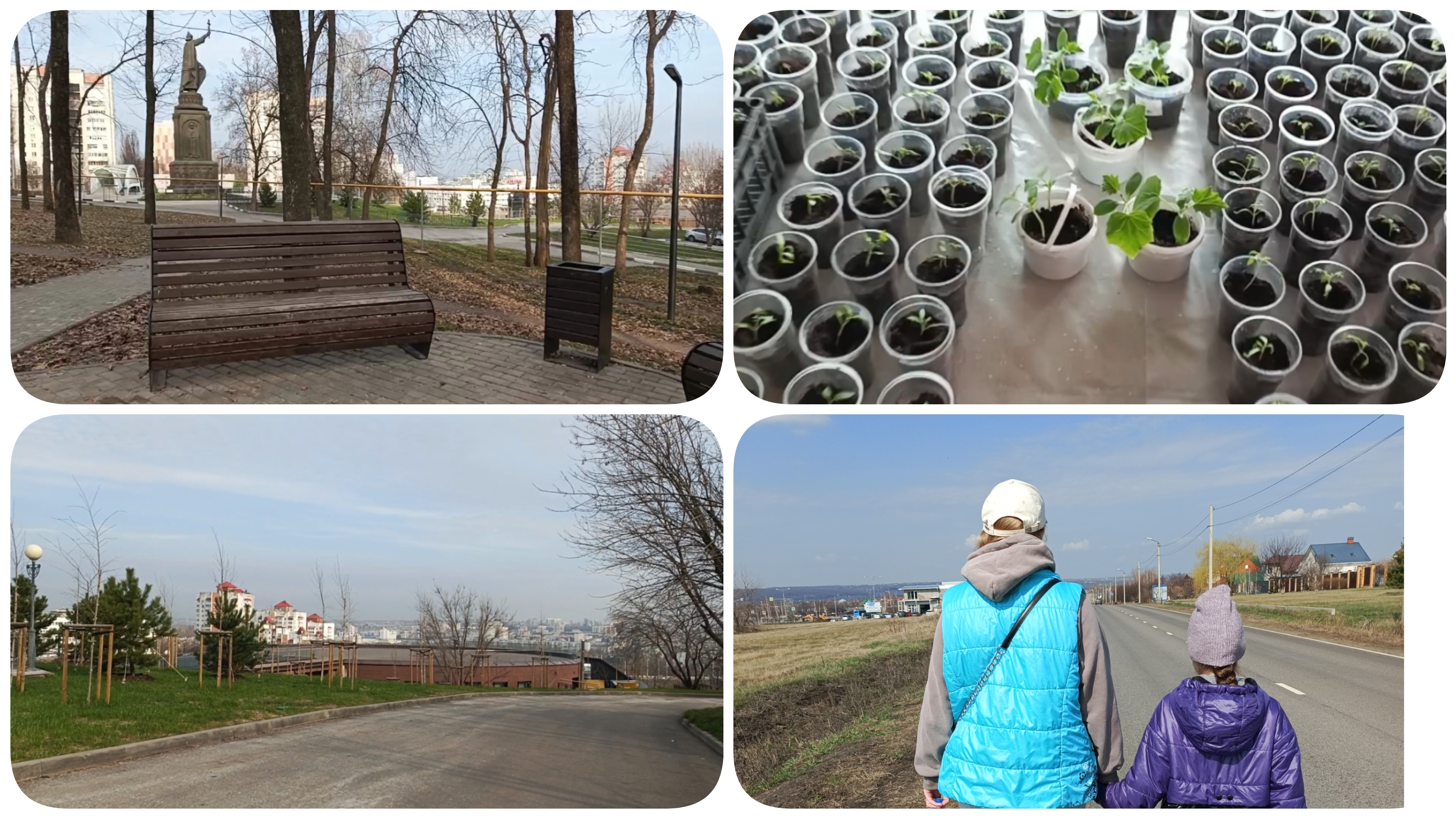 Пикировала рассаду. Ездили в больницу