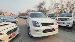 TLC PRADO 120
