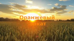 Оранжевый закат