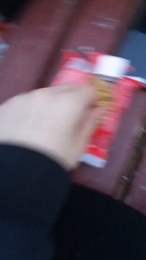влог
