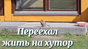 ОН НАЧАЛ ЖИТЬ НА ХУТОРЕ.ПОКРАСКА ПОТОЛКА, ПОБЕЛКА ПЕЧИ И ПЕРВЫЙ ДЕНЬ НА НОВОМ МЕСТЕ.