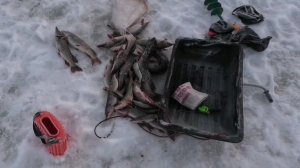 Закрытие сезона твёрдой воды.