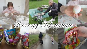 VLOG🇩🇪: 🌷САЖАЮ ЦВЕТЫ/КРАСИМ ЯЙЦА 🐣КОРЗИНКИ ДЛЯ ДЕТЕЙ 🍬ХЛЕБ НА ЗАКВАСКЕ ОТ МУЖА🤤