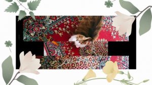 День Рожденья Мавры