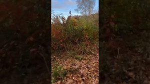 Мне, эта женщина нужна.