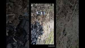 Дачные будни: что купила на Wildberries и в какую землю сажаю баклажаны 🌱