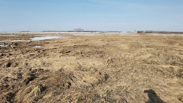 Открытие сезона 2026