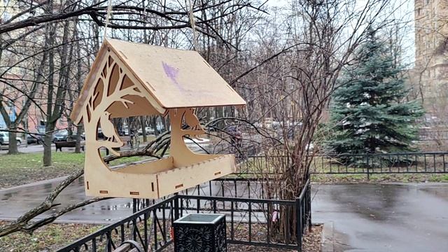 Прогулка по дворам Фрунзенской набережной